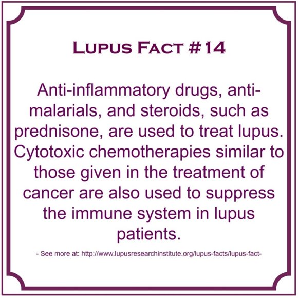 Meet your Posher, Shay - Picture 9 of 14